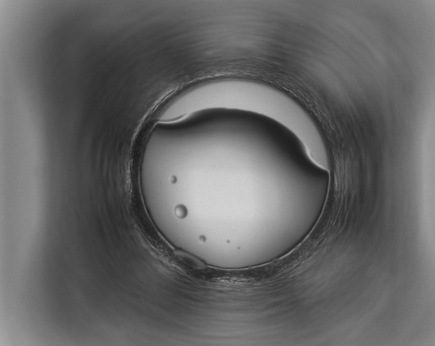 X0000113030300200909171506