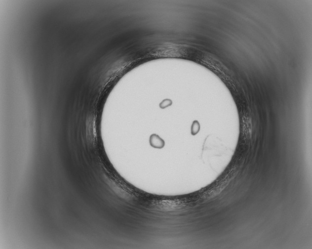 X0000113030302200909171506