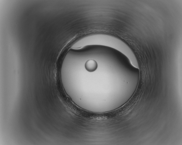 X0000113030304200909171506