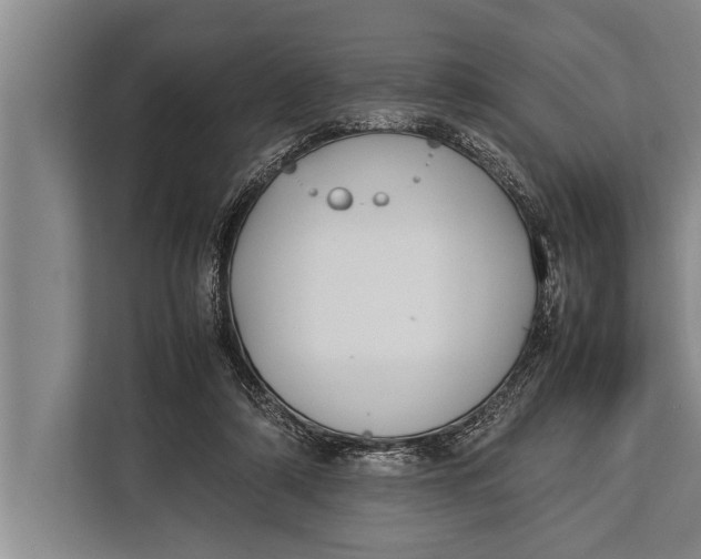 X0000113030306200909171506