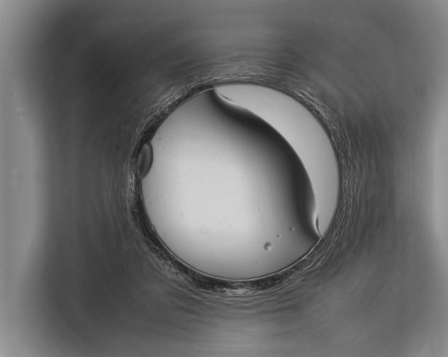 X0000113030309200909171506