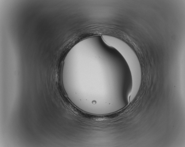 X0000113030313200909171506