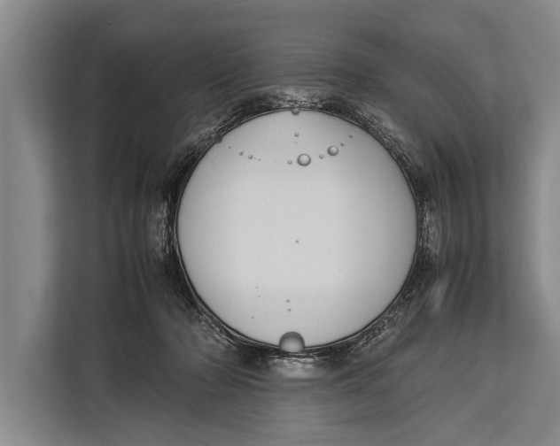 X0000113030318200909171506