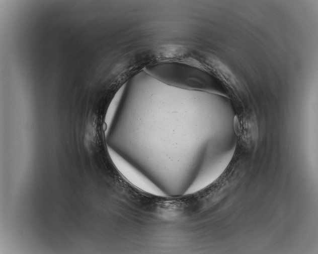 X0000113030324200909171506