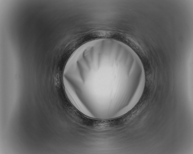 X0000113030325200909171506