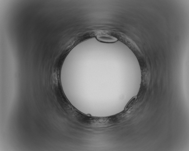 X0000113030329200909171506