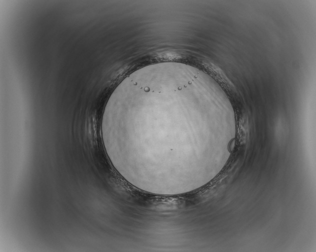 X0000113030330200909171506