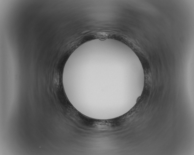 X0000113030331200909171506