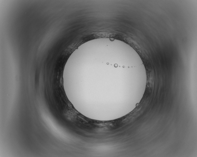 X0000113030334200909171506