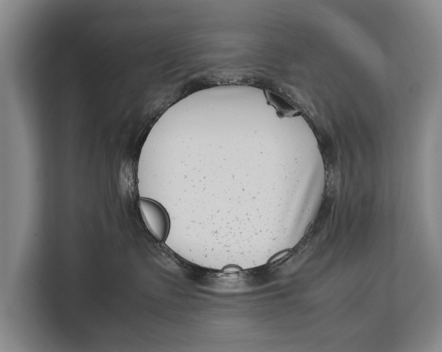 X0000113030335200909171506