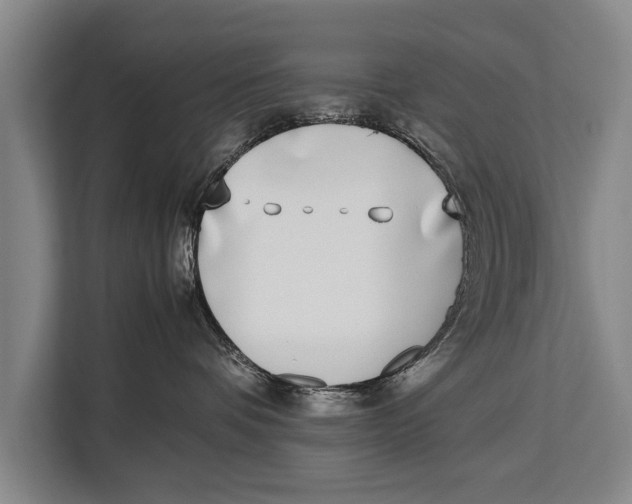 X0000113030336200909171506