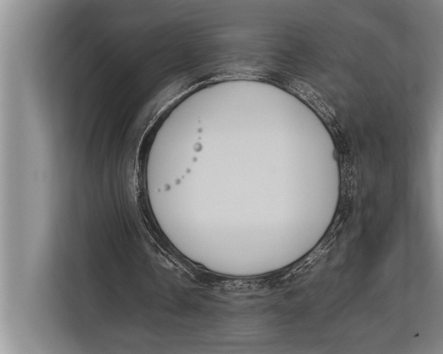 X0000113030338200909171505