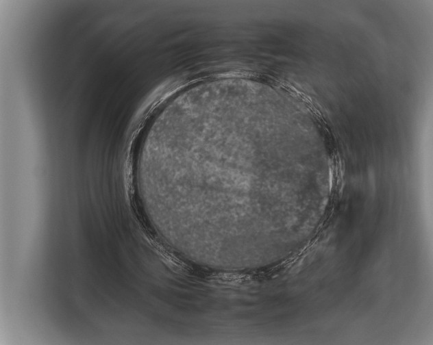 X0000113030339200909171505