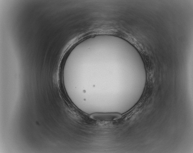 X0000113030340200909171505