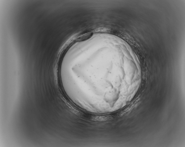 X0000113030341200909171505