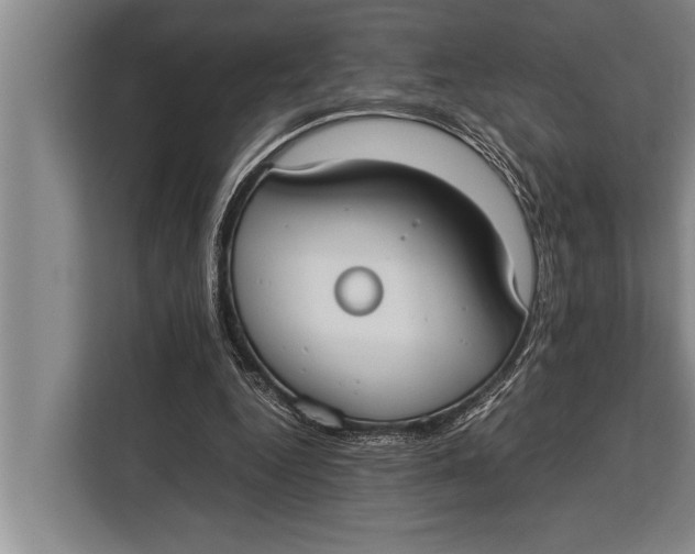 X0000113030344200909171505