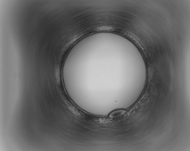 X0000113030345200909171505