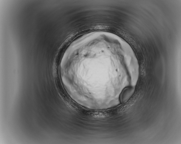 X0000113030347200909171505