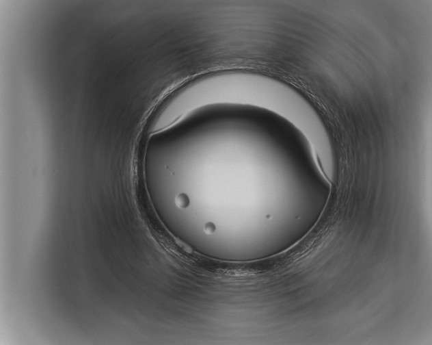 X0000113030348200909171505