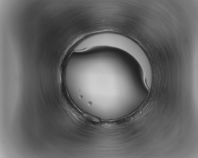 X0000113030350200909171505