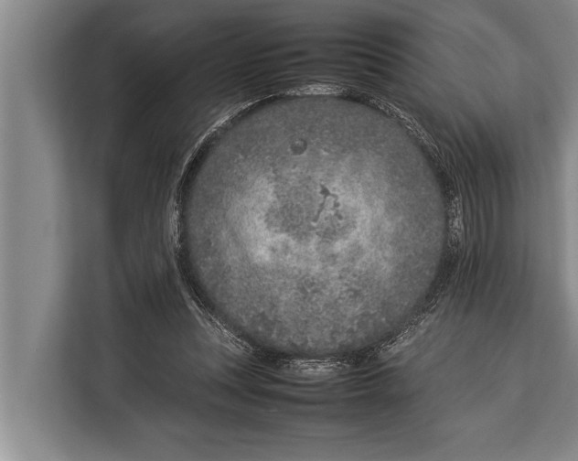 X0000113030351200909171505