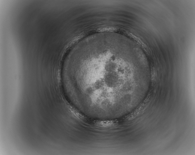 X0000113030353200909171505