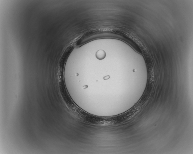 X0000113030356200909171505