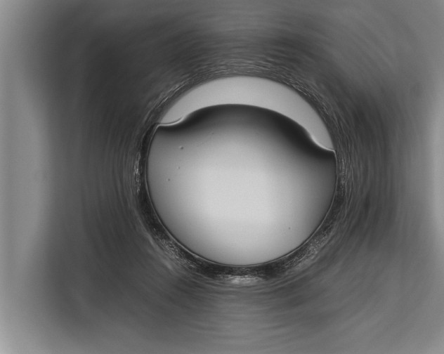 X0000113030360200909171505