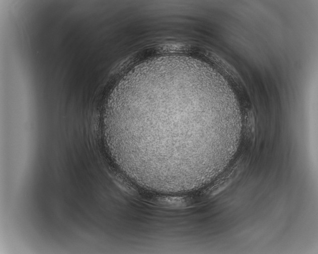 X0000113030361200909171505