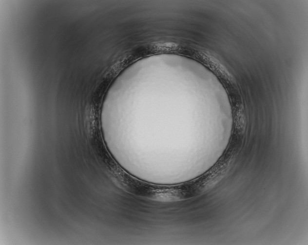 X0000113030363200909171505