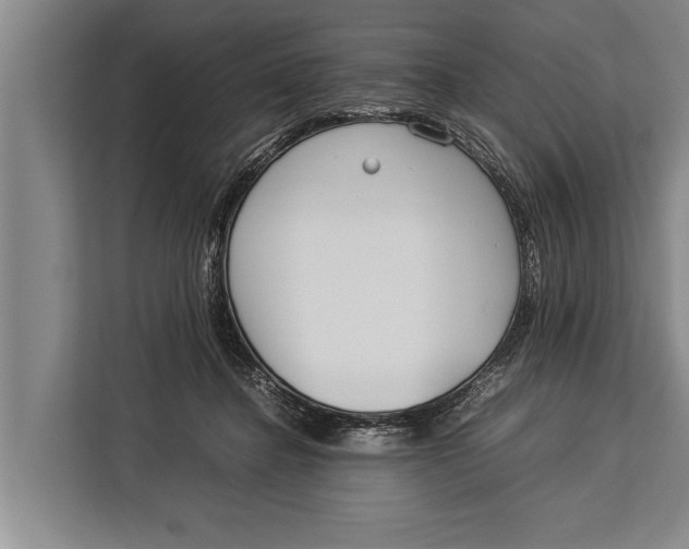 X0000113030364200909171505