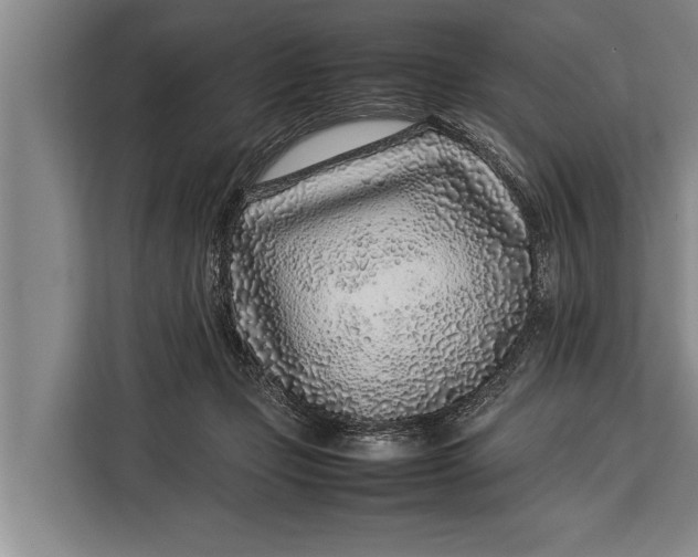 X0000113030365200909171505