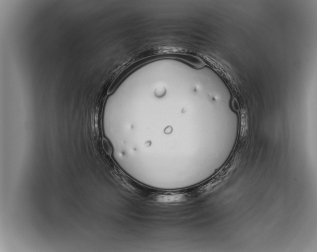 X0000113030369200909171506