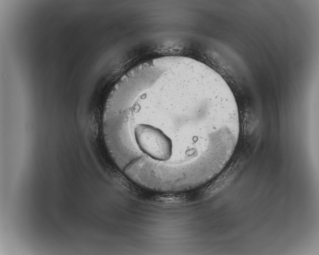 X0000113030370200909171506