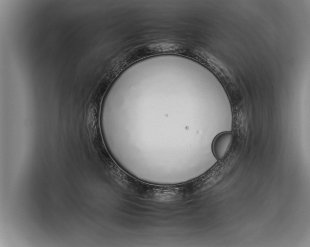 X0000113030373200909171506