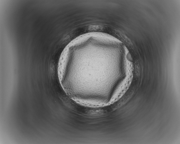 X0000113030375200909171506