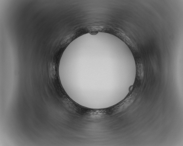 X0000113030378200909171506