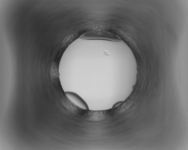 X0000113030384200909171506