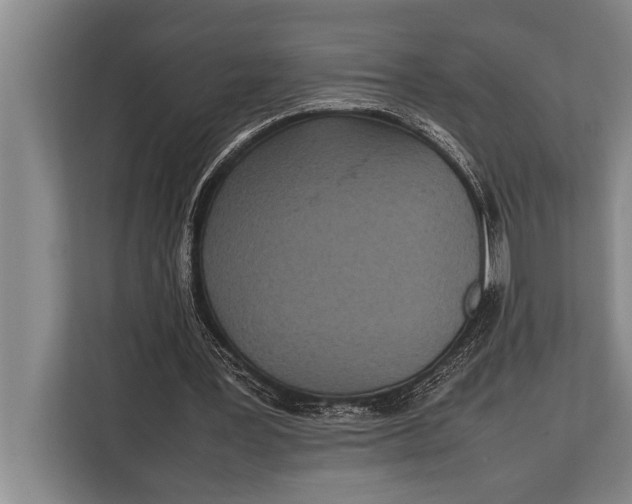 X0000113030387200909171505