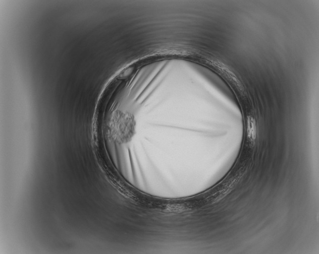 X0000113030388200909171505