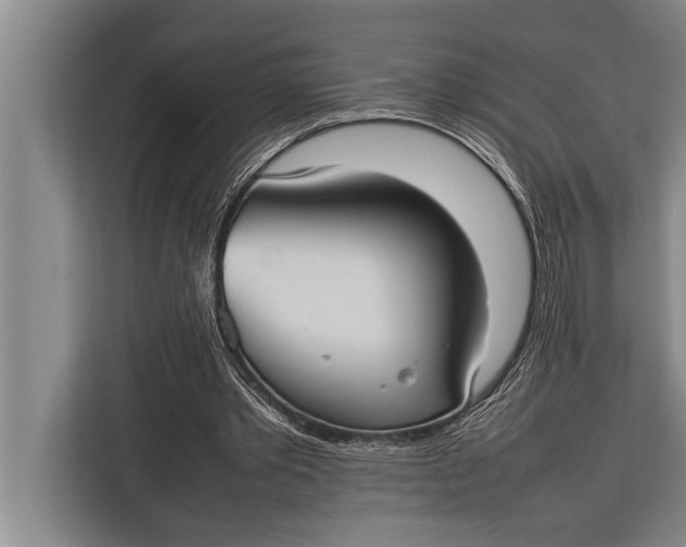 X0000113030389200909171505