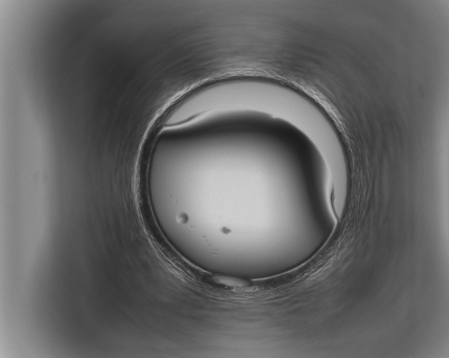 X0000113030391200909171505