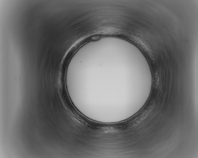 X0000113030392200909171505