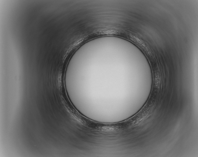 X0000113030394200909171505