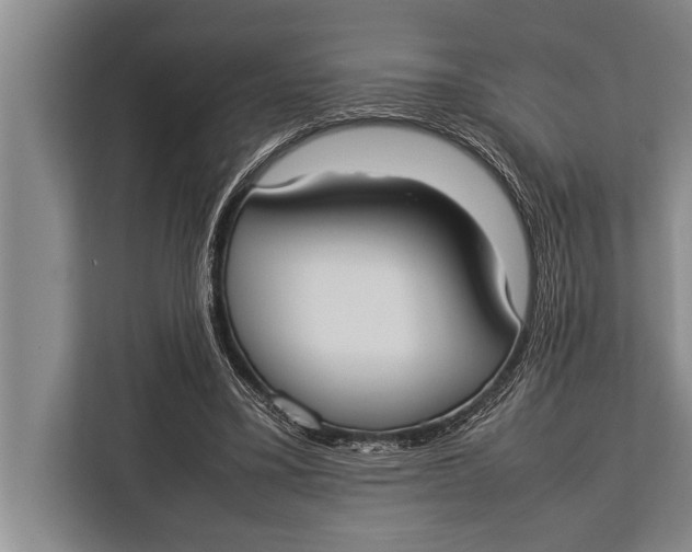 X0000113030395200909171505