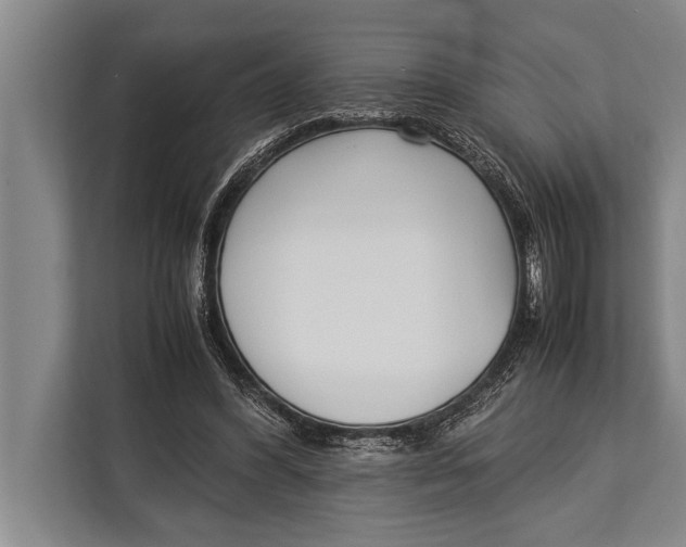 X0000113030396200909171505