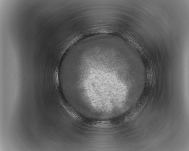 X0000113030398200909171505