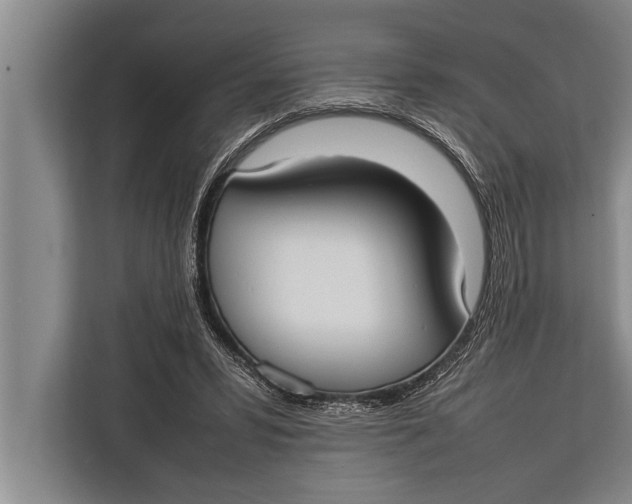 X0000113030399200909171505