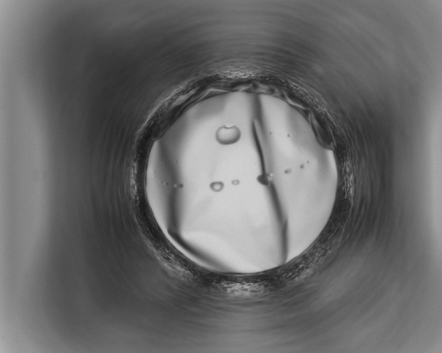 X0000113030400200909171505