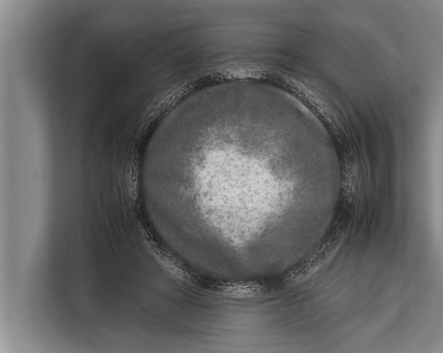 X0000113030402200909171505